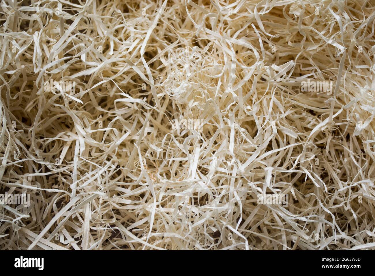 Thin swirling wood shavings, sawdust for filling parcels, stuffing old toys. Organic eco-friendly material. Abstract background. Stock Photo