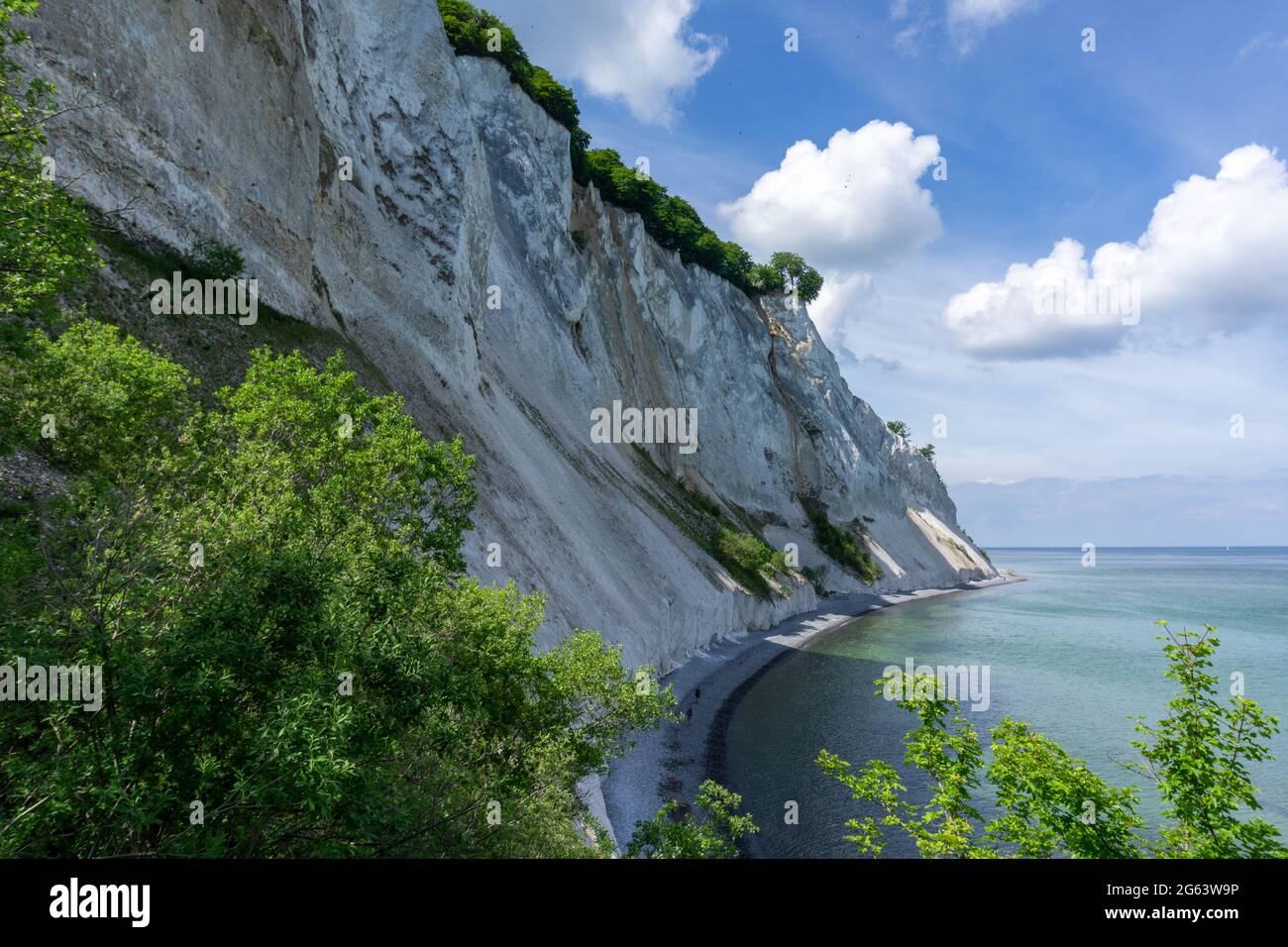 Rugged white chalkstone cliffs on  the ocean coast with lush green forest in the foreground Stock Photo