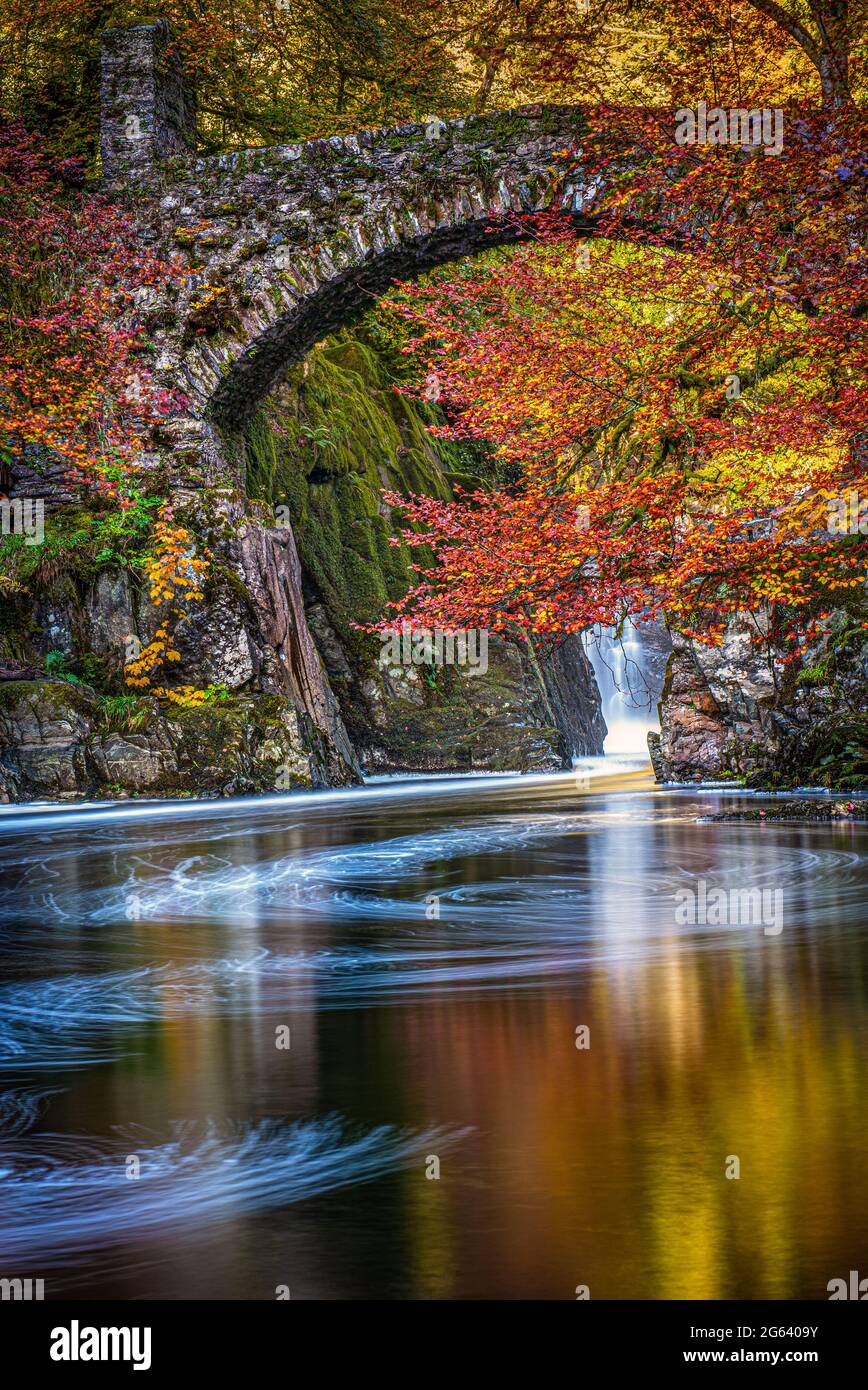 The autumn colours on Black Linn Falls at the Hermitage on the River Braan near Dunkeld in Perthshire Stock Photo
