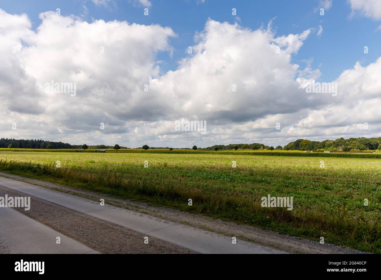 Lüneburger Heide Stock Photo