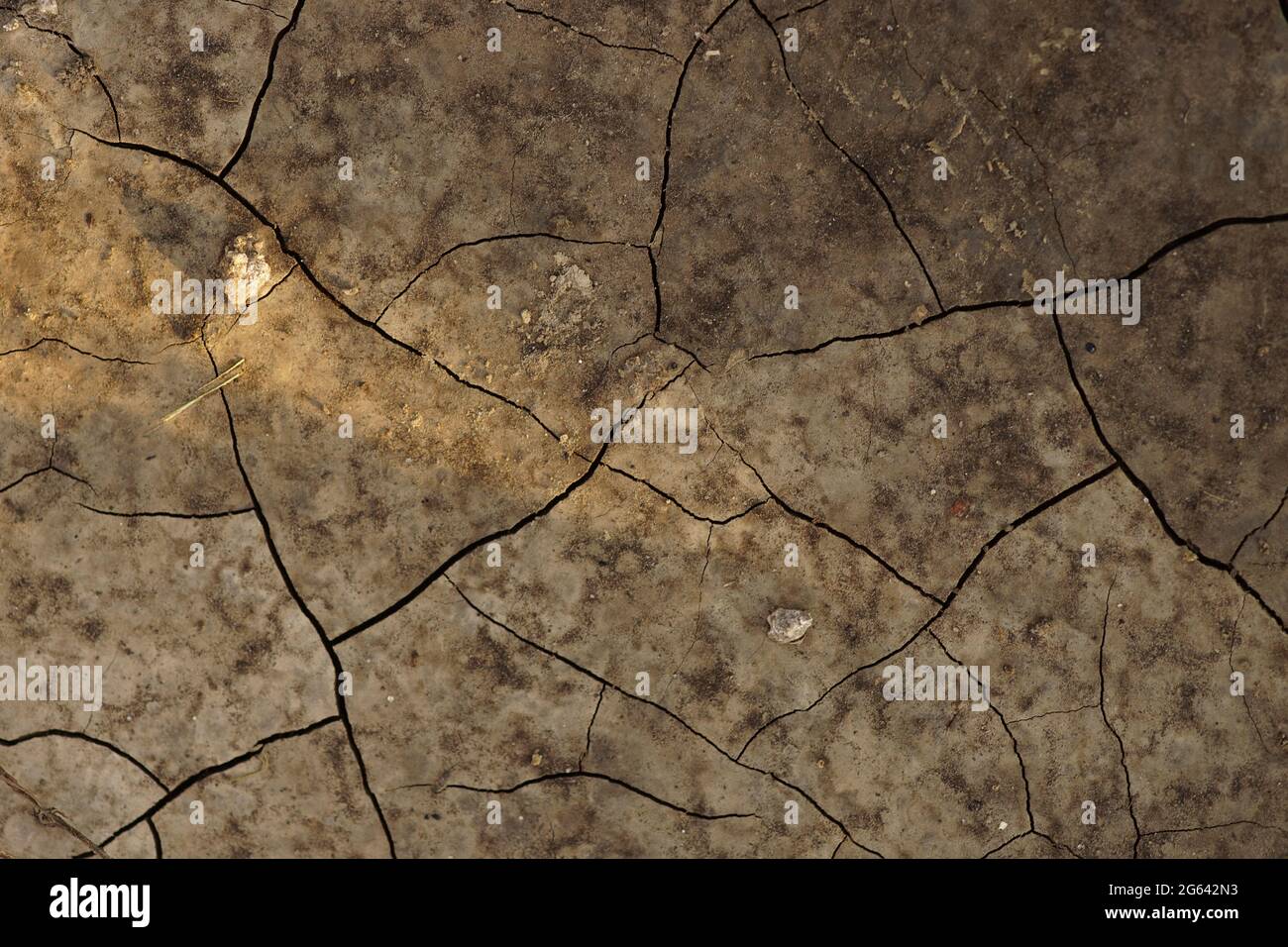 Deep cracks in mud hi-res stock photography and images - Alamy