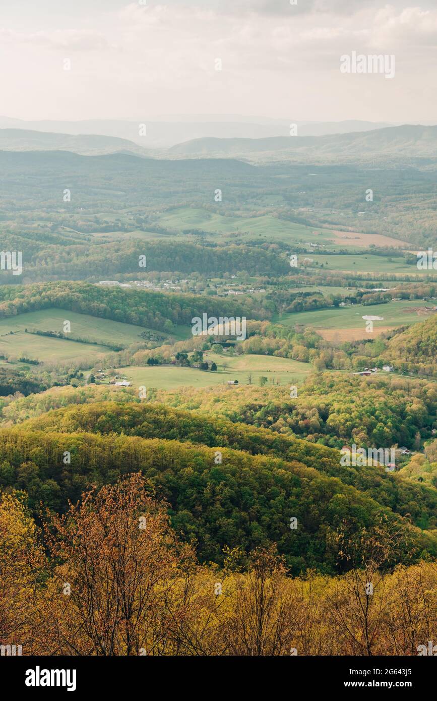 A landscape with trees and hills, Blue Ridge Parkway, Fancy Gap 