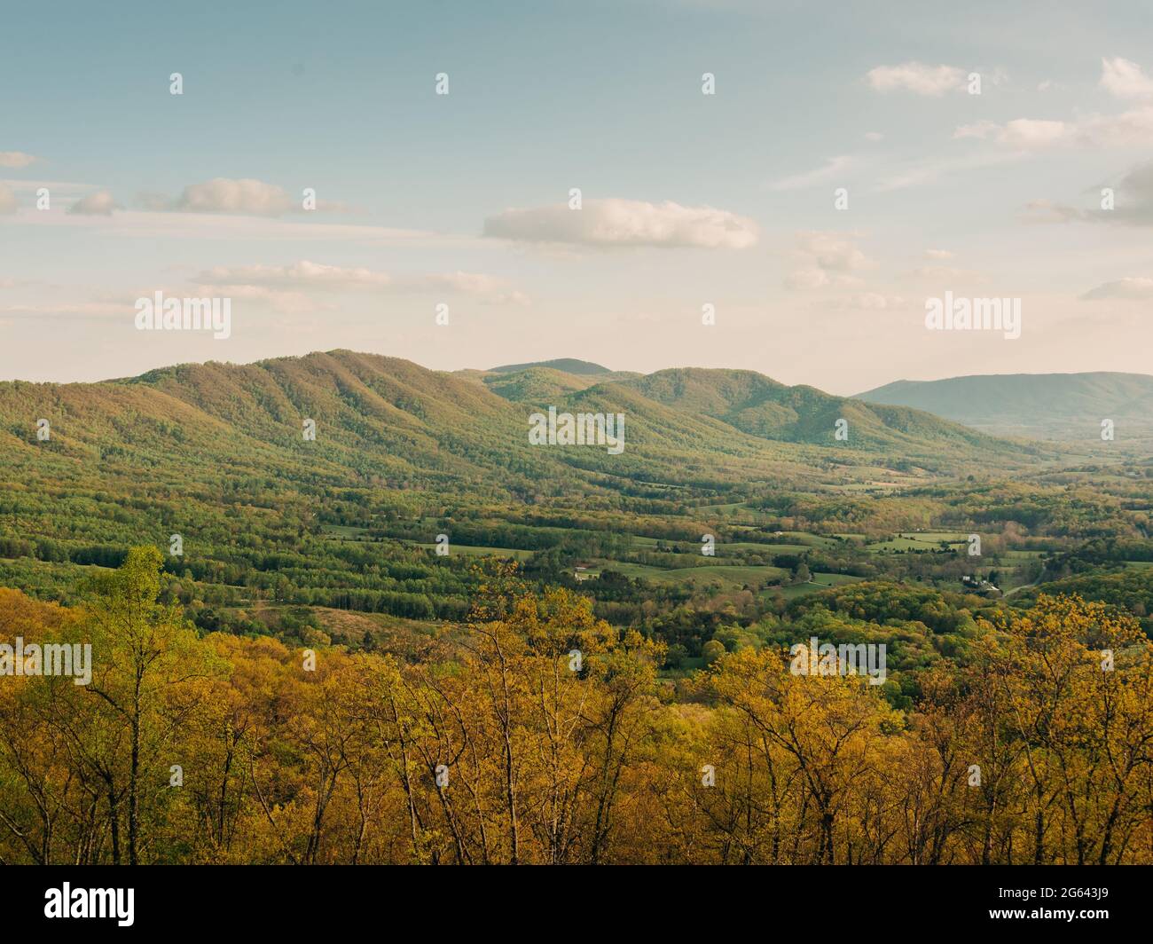 A landscape with trees and hills, Blue Ridge Parkway, Fancy Gap 