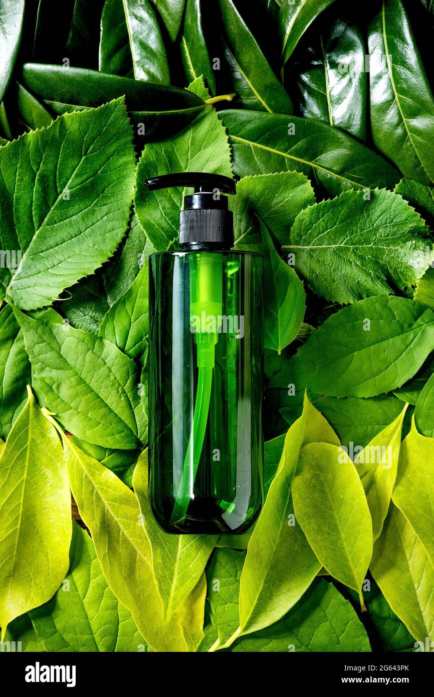Empty green plastic bottle for soap on background made of green leaves, green gradient. Eco friendly cosmetic product presentation. Place for label. C Stock Photo