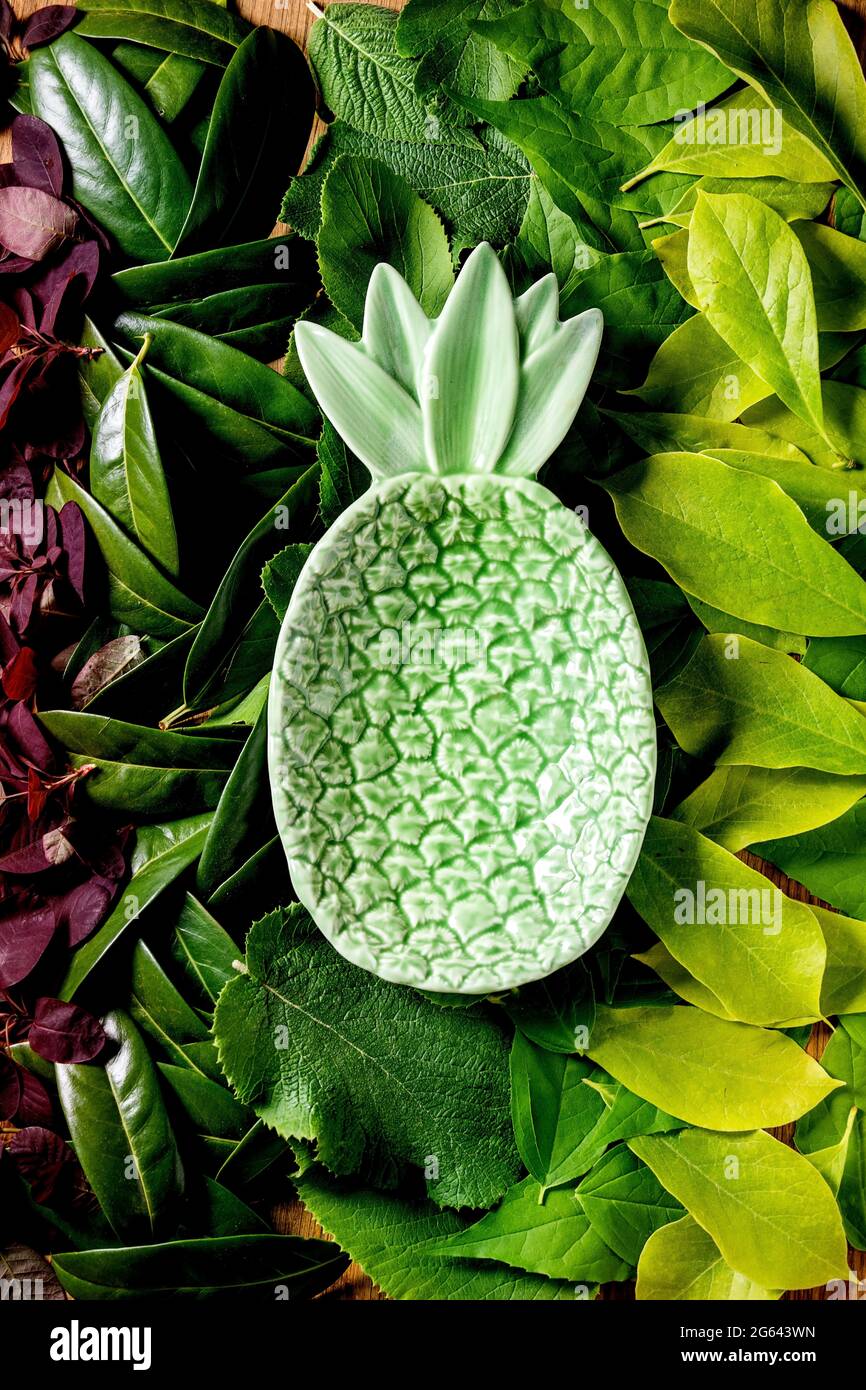 Ceramic green pineapple plate on background made of different green and red leaves, green gradient. Copy space. Nature creative layout, Top view, flat Stock Photo