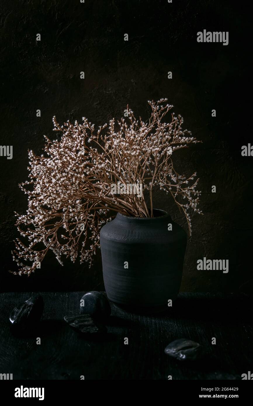 Dry white flowers branch in black ceramic vase on black wooden table with decorative stones. Dark still life. Copy space. Stock Photo