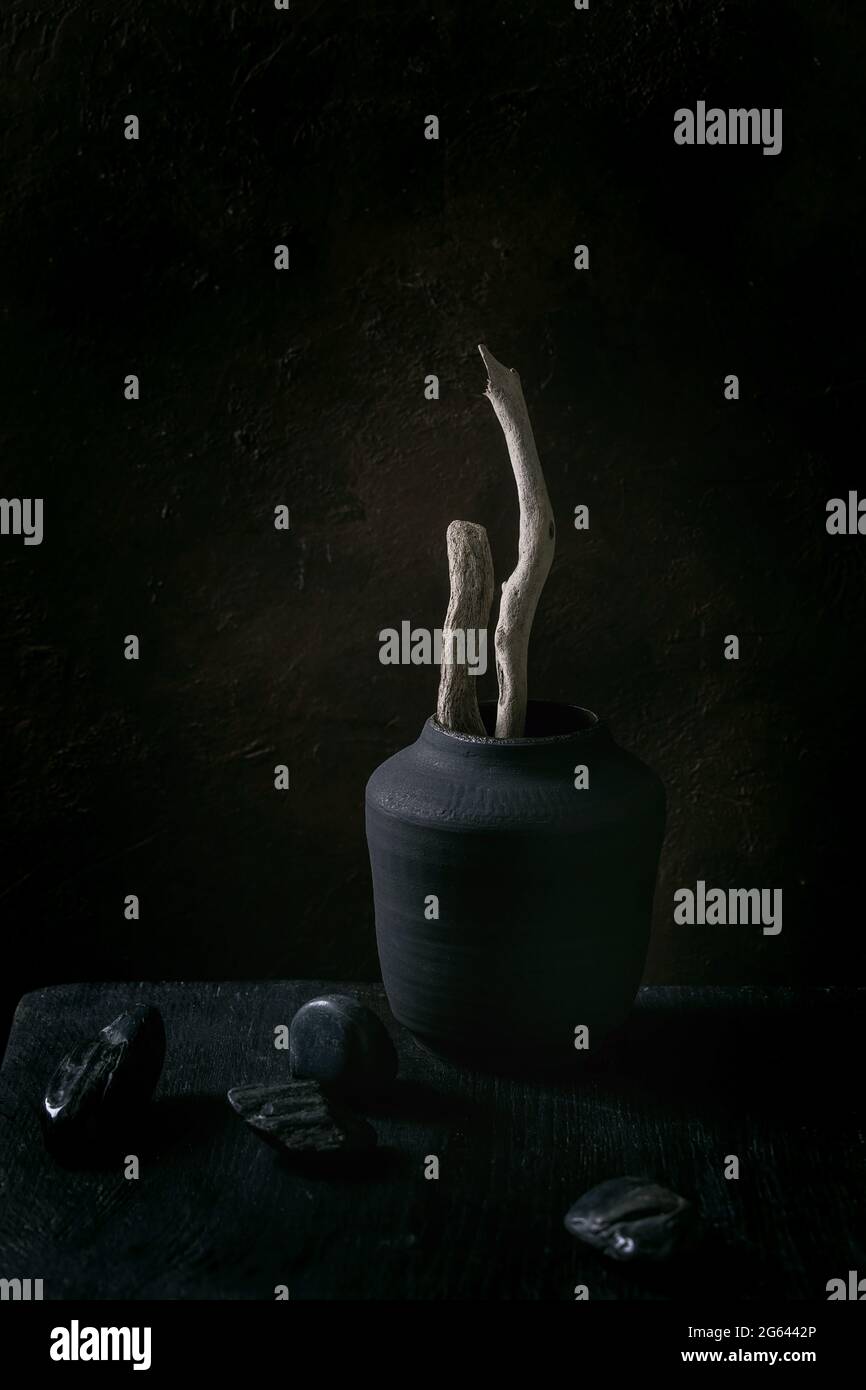 Dry wood branches in black ceramic vase on black wooden table with decorative stones. Dark still life. Copy space. Stock Photo