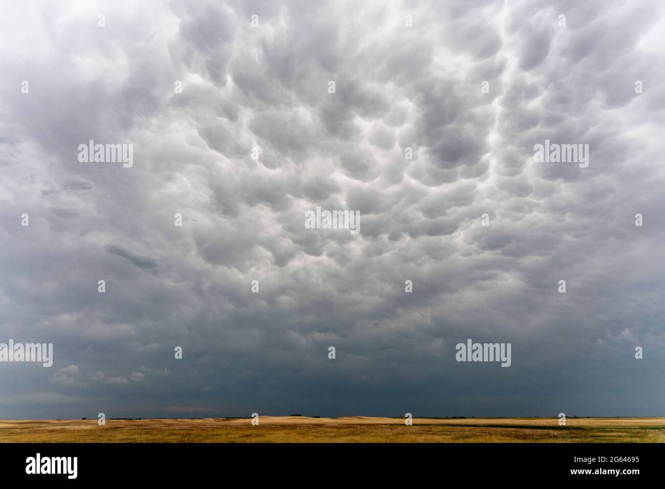 Prairie Storm Clouds in Saskatchewan Canada Rural Stock Photo - Alamy
