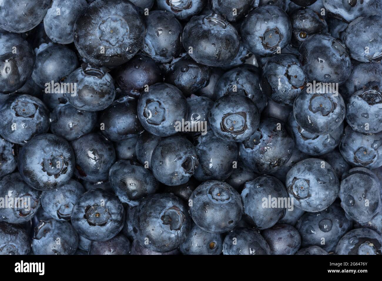 Blueberries Close Up Full Screen Detail Stock Photo