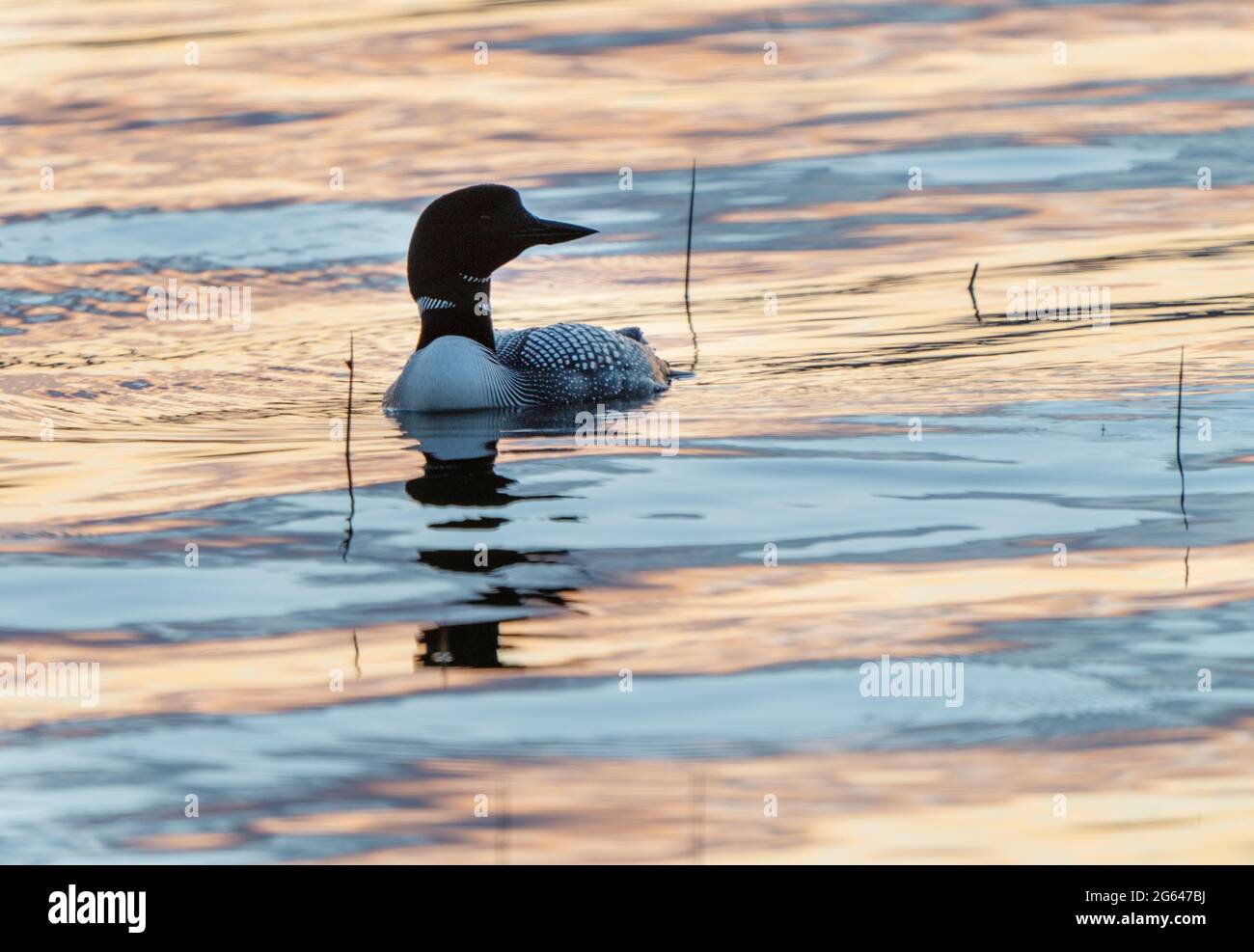 Loon lake saskatchewan weather