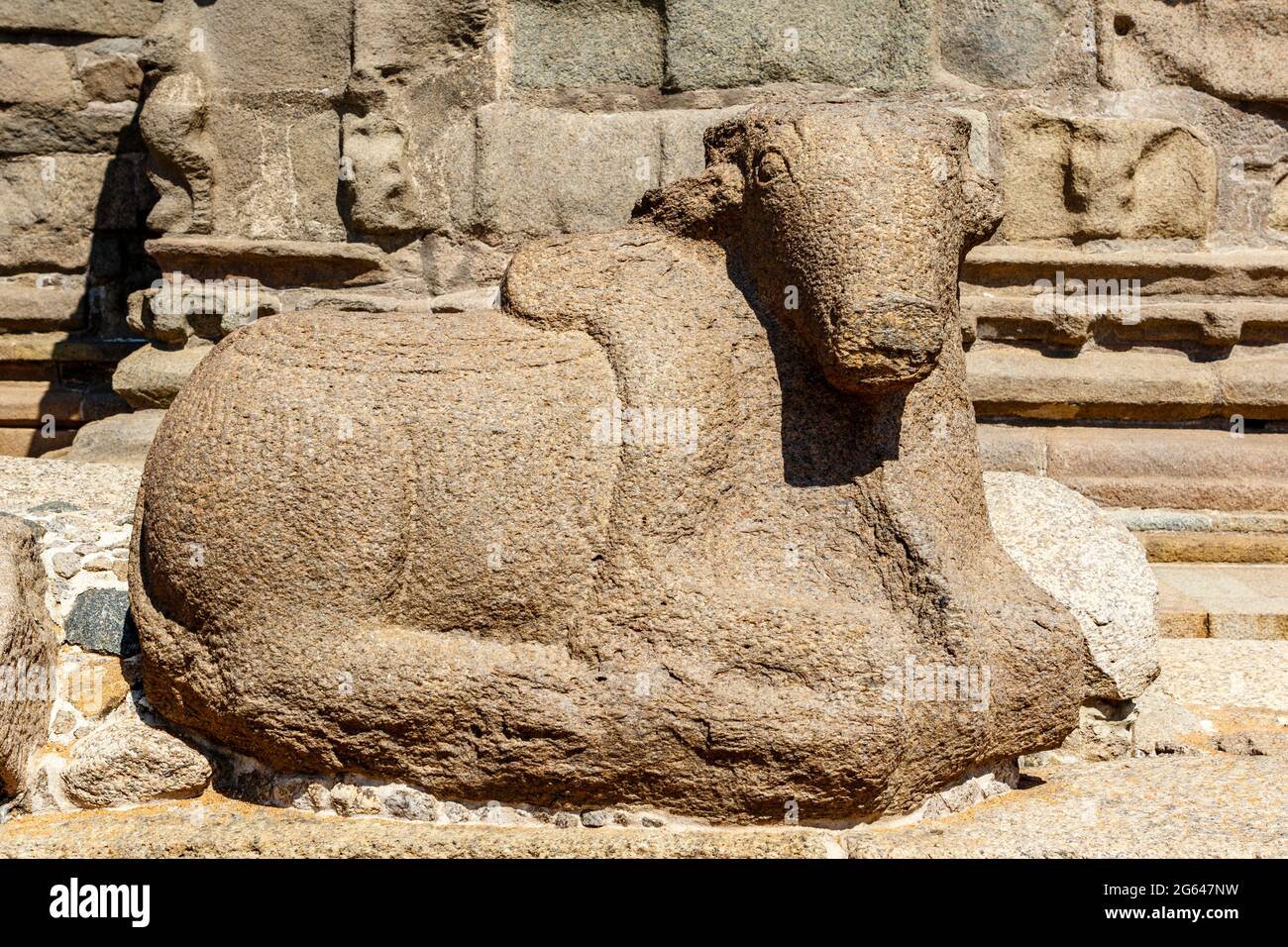 Nandi statue at the Shore Temple complex (Pallava dynasty) in