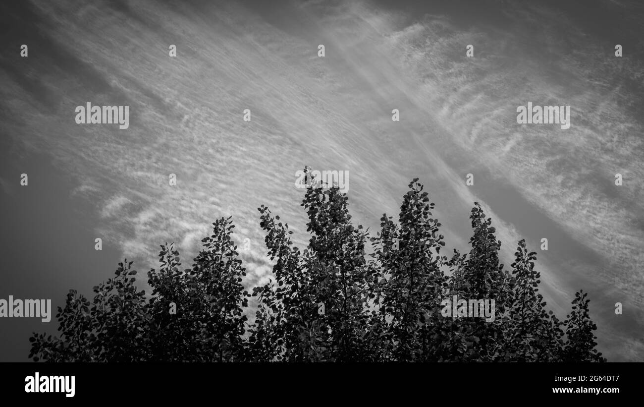 Picturesque sky Black and White Stock Photos & Images - Alamy