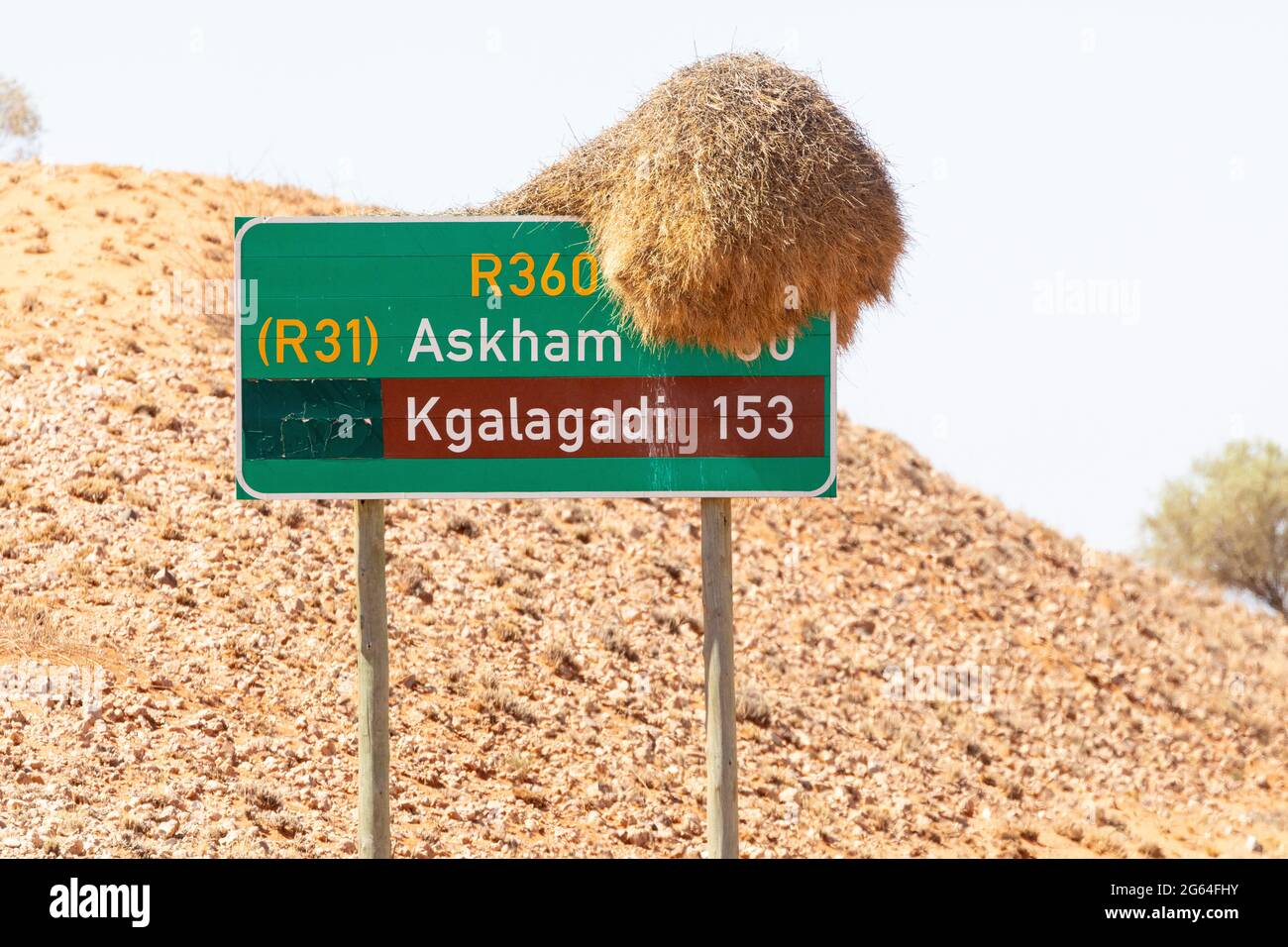 Large communal nest of the Sociable Weaver (Philetairus socius) on the signboard for the Kgalagadi and Askham,  Kalahari, Northern Cape, South Africa Stock Photo