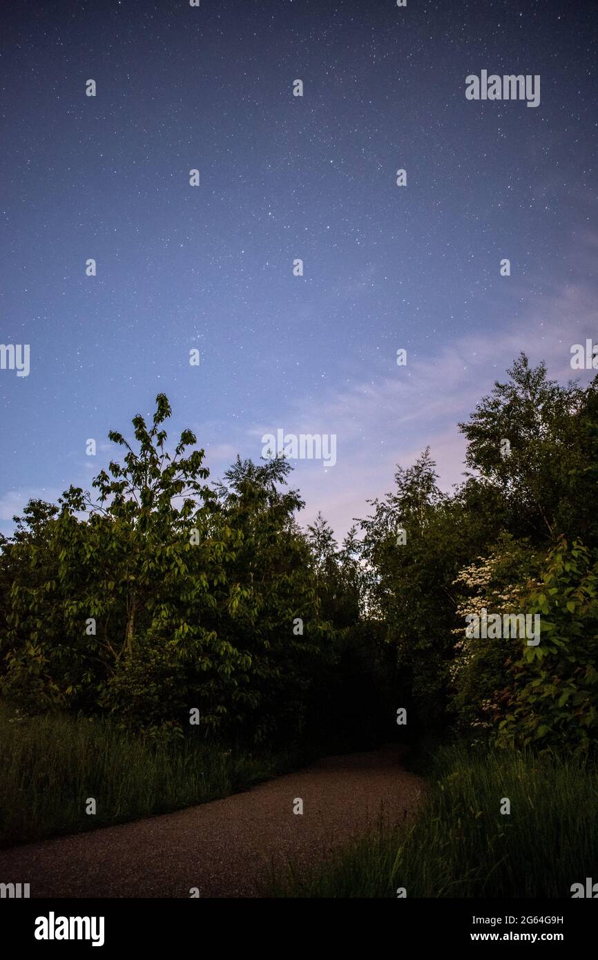 Stars in the night sky on a clear summer's evening. Stock Photo