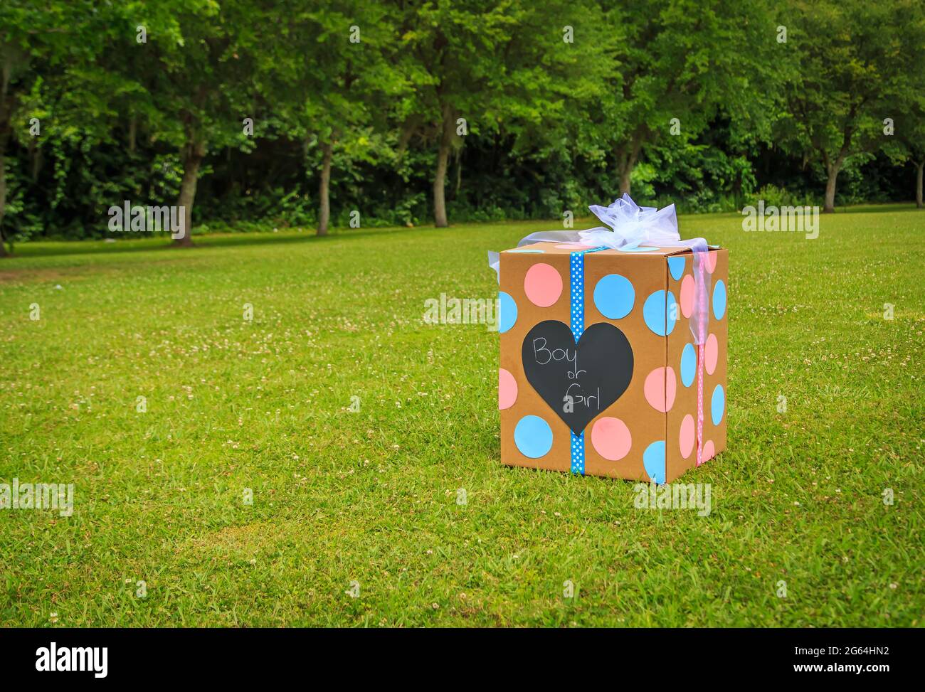 Gender Reveal Party Box Stock Photo - Alamy