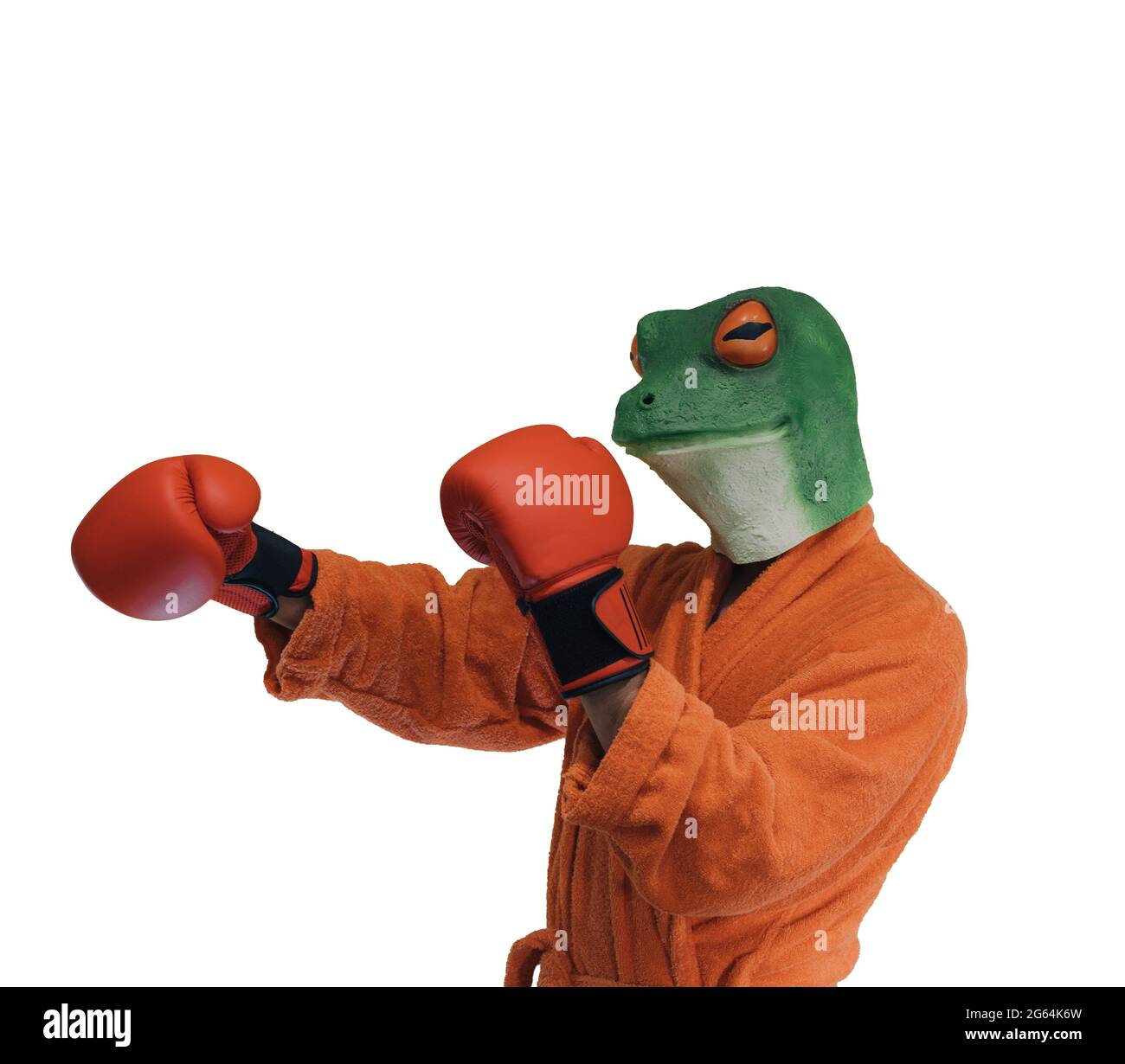 Boxing Frog man with a mask of a frog on his head with colored robe and arms ...