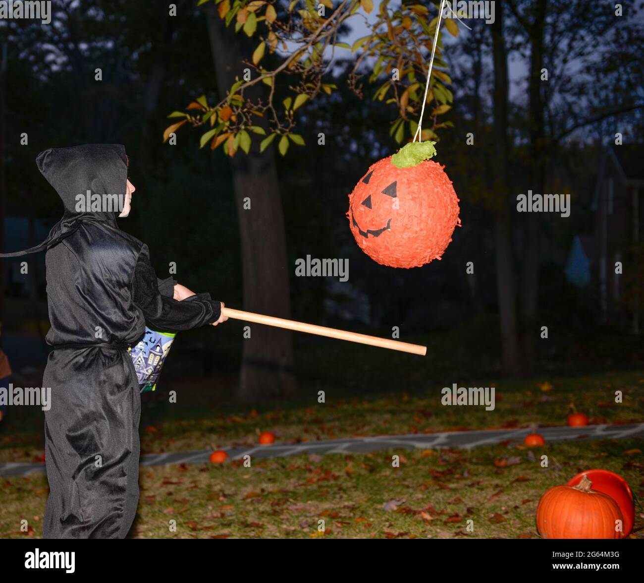 Boy in a black halloween costume hitting a pumpkin pinata with a stick, hanging from a tree outdoors at a party at night. Stock Photo