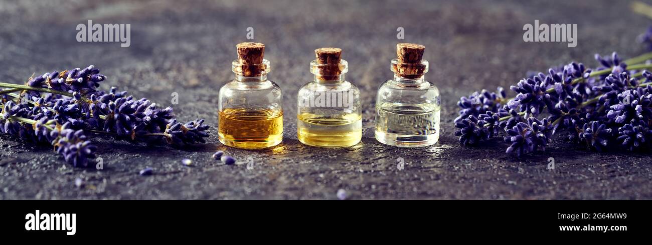 Three bottles of essential oil with fresh lavender plant - panoramic ...