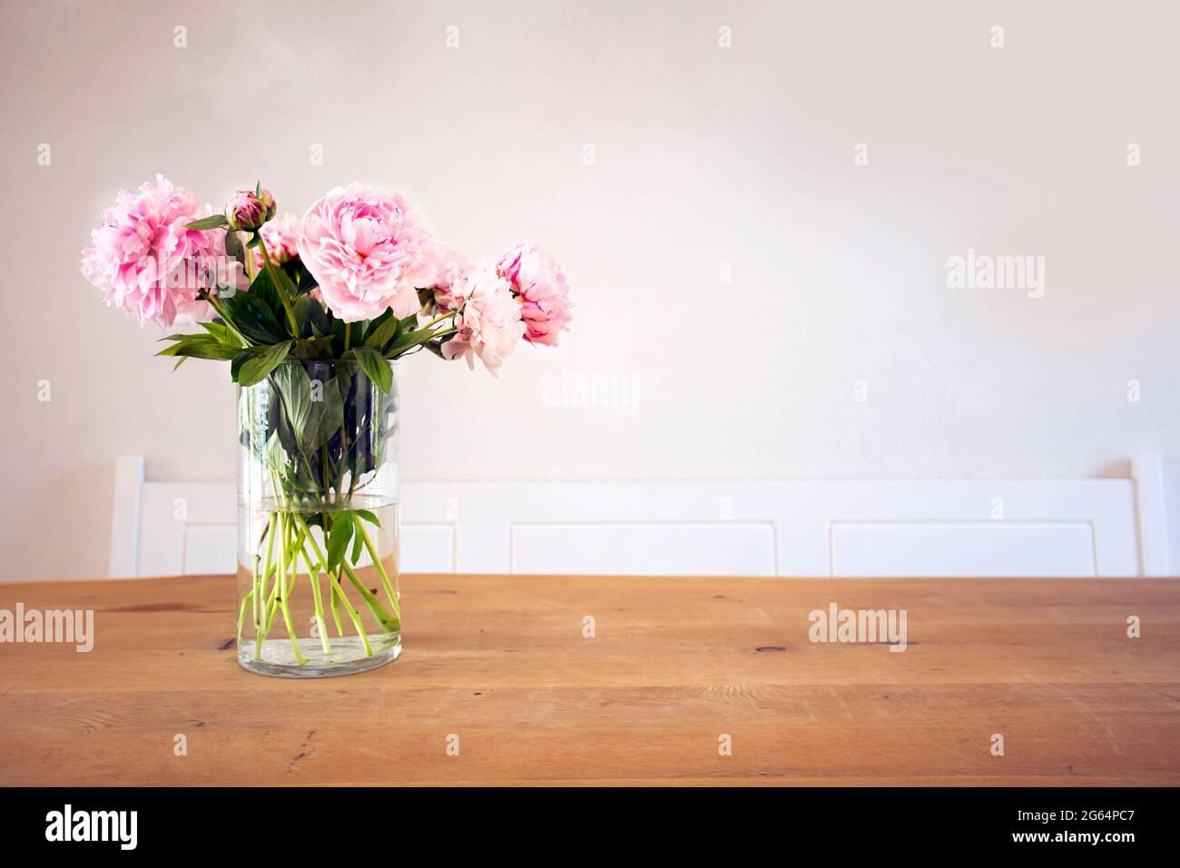 A bunch of pastel pink peony with green leaves in glass vase on the ...