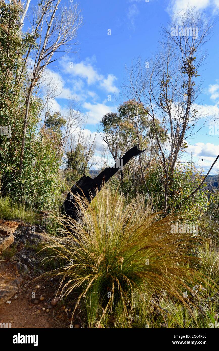 A view of the countryside on the Hanging Rock Walk Stock Photo