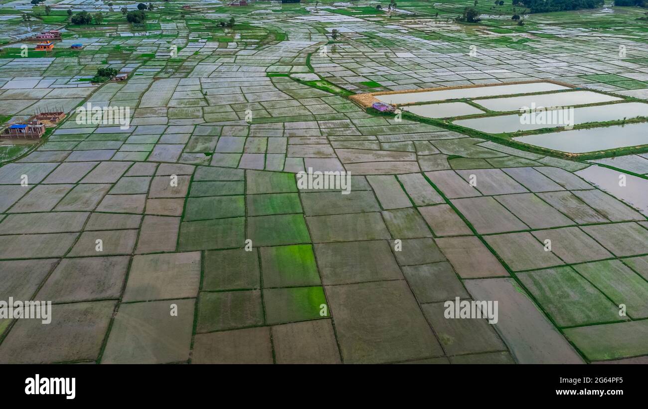 Aerial view of fresh cultivated land. Farmlands divided into rectangular block aerial shot. Monsoon season in Nepal. Stock Photo