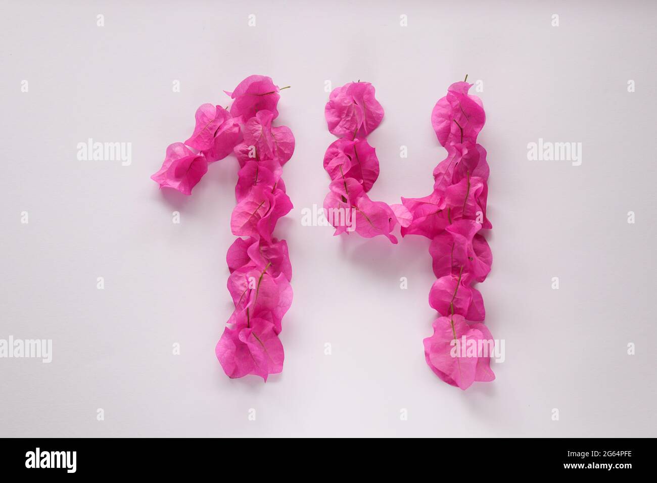 Numbers With Roses 14 Pink tropical flowers hi-res stock photography and images - Alamy