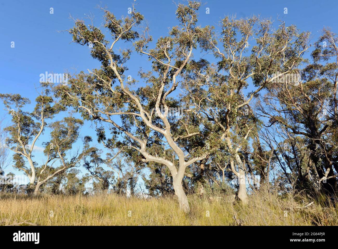 A view of the countryside on the Hanging Rock Walk Stock Photo