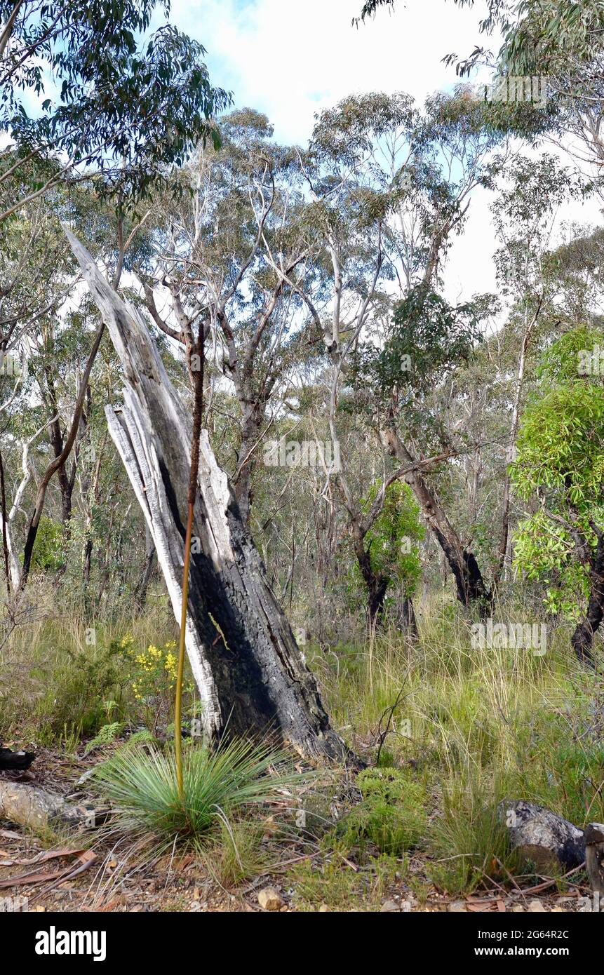 A view of the countryside on the Hanging Rock Walk Stock Photo