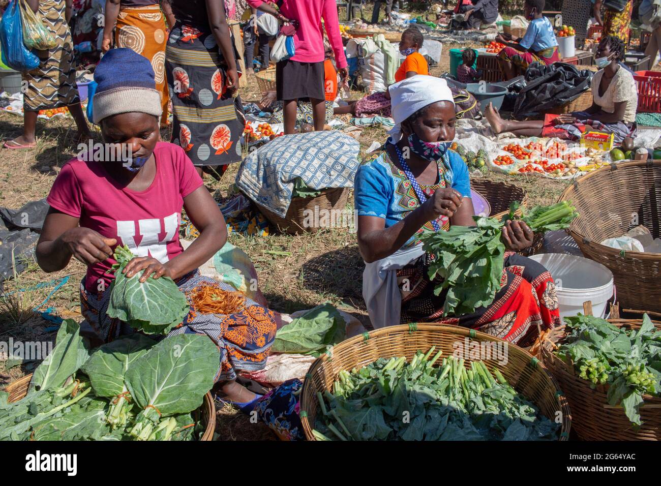 Women selling fresh kale in the local market Stock Photo Alamy