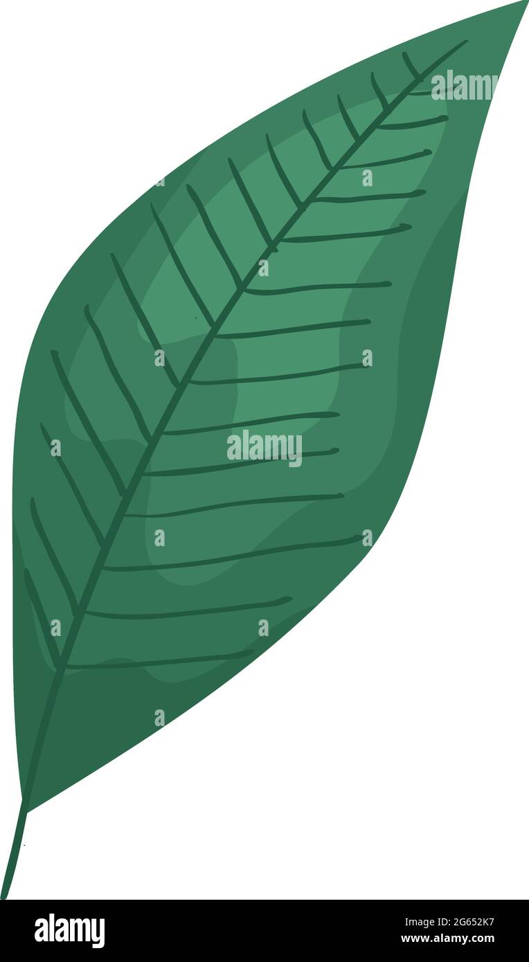 green leaf icon Stock Vector Image & Art - Alamy