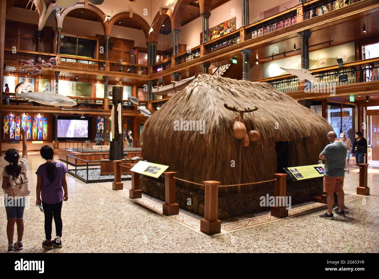 Bishop museum oahu hi-res stock photography and images - Alamy