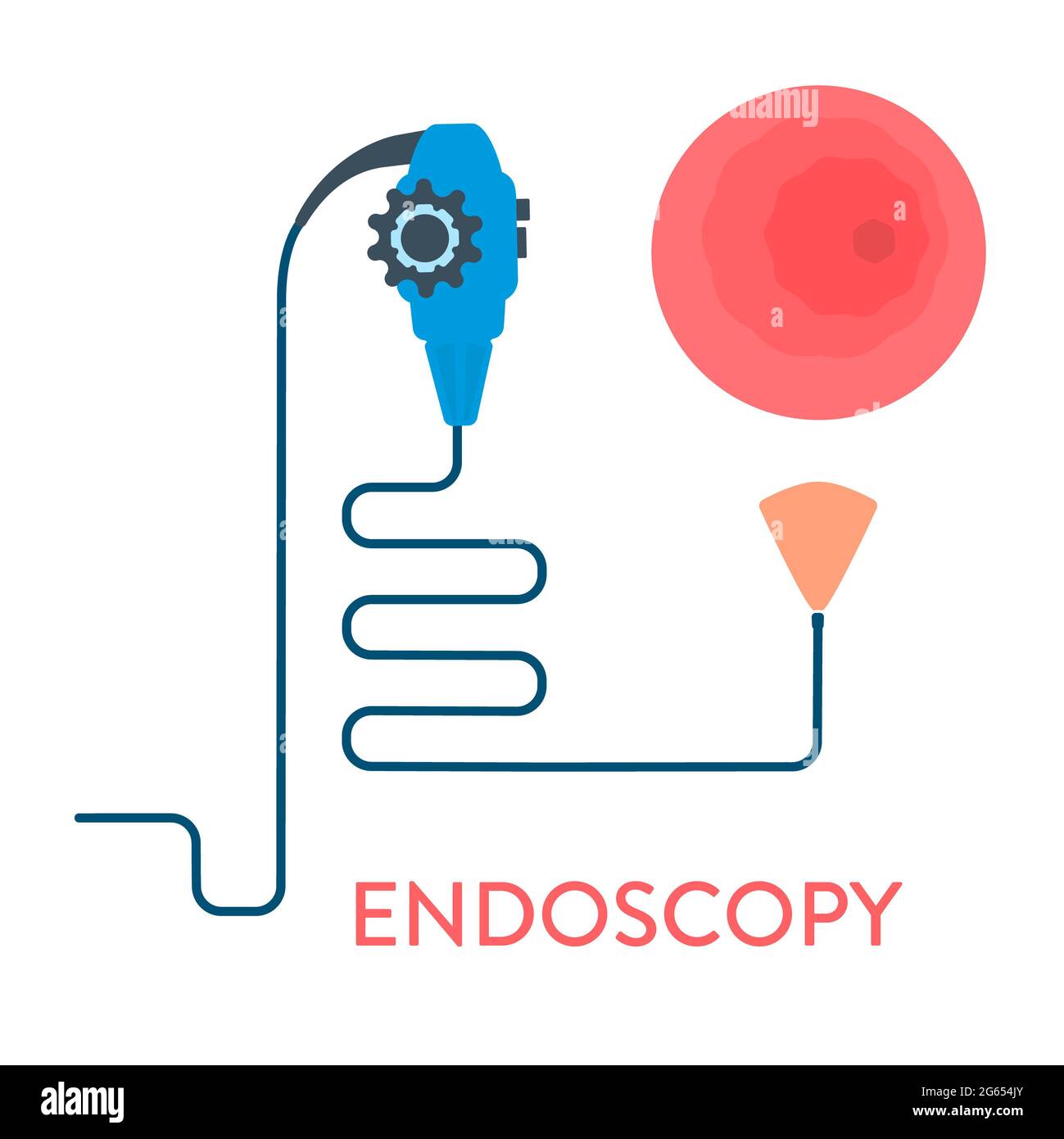 Endoscopy, conceptual illustration Stock Photo