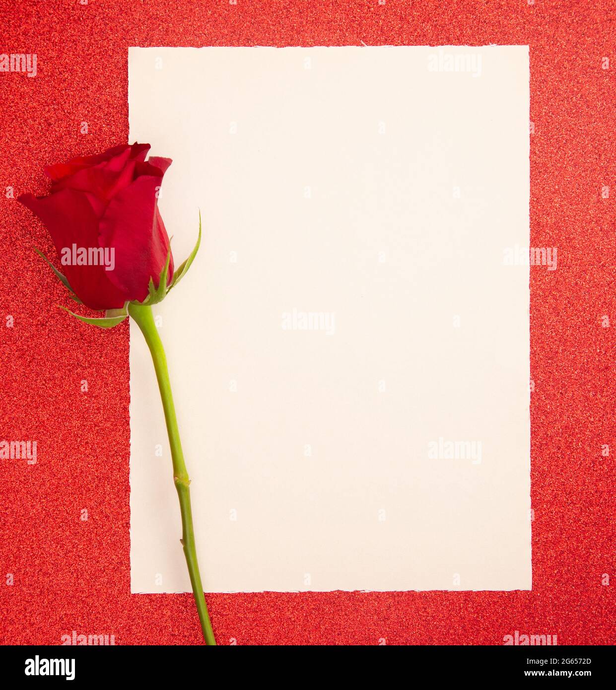 A Single Rose with a Blank Page for Writing a Love Note Stock Photo