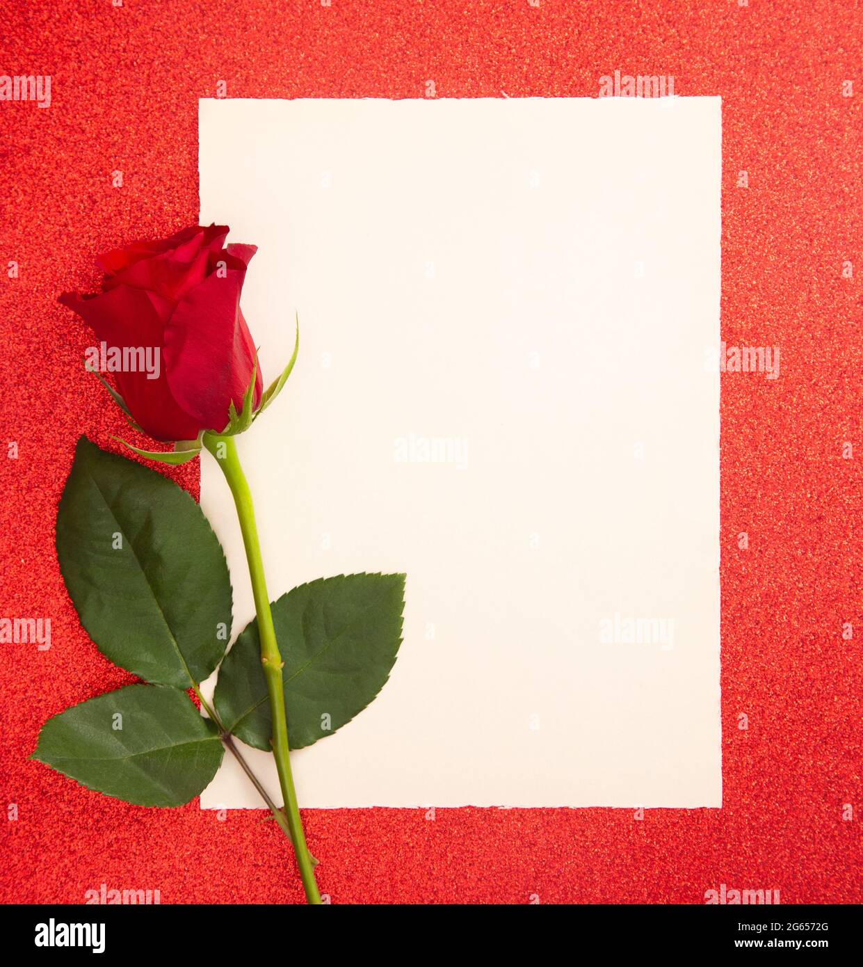 A Single Rose with a Blank Page for Writing a Love Note Stock Photo