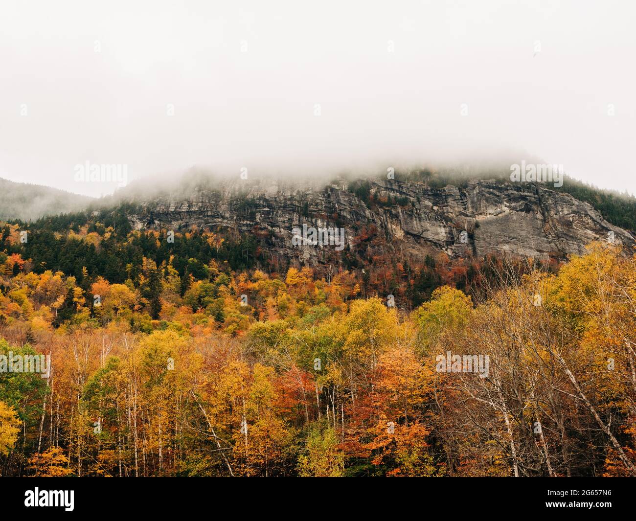 Autumn color and fog in Grafton Notch State Park, Newry, Maine Stock Photo