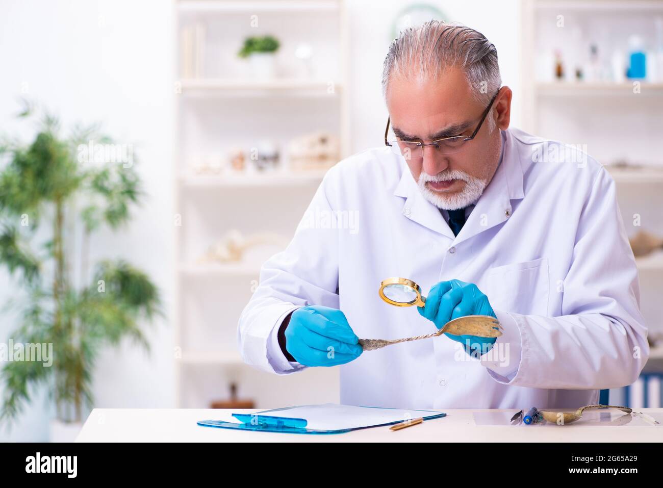 Old Male Archaeologist Working In The Lab Stock Photo - Alamy