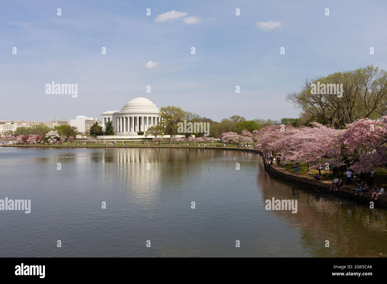 Cherry blossoms and the Jefferson Memorial line the tidal basin. Stock Photo