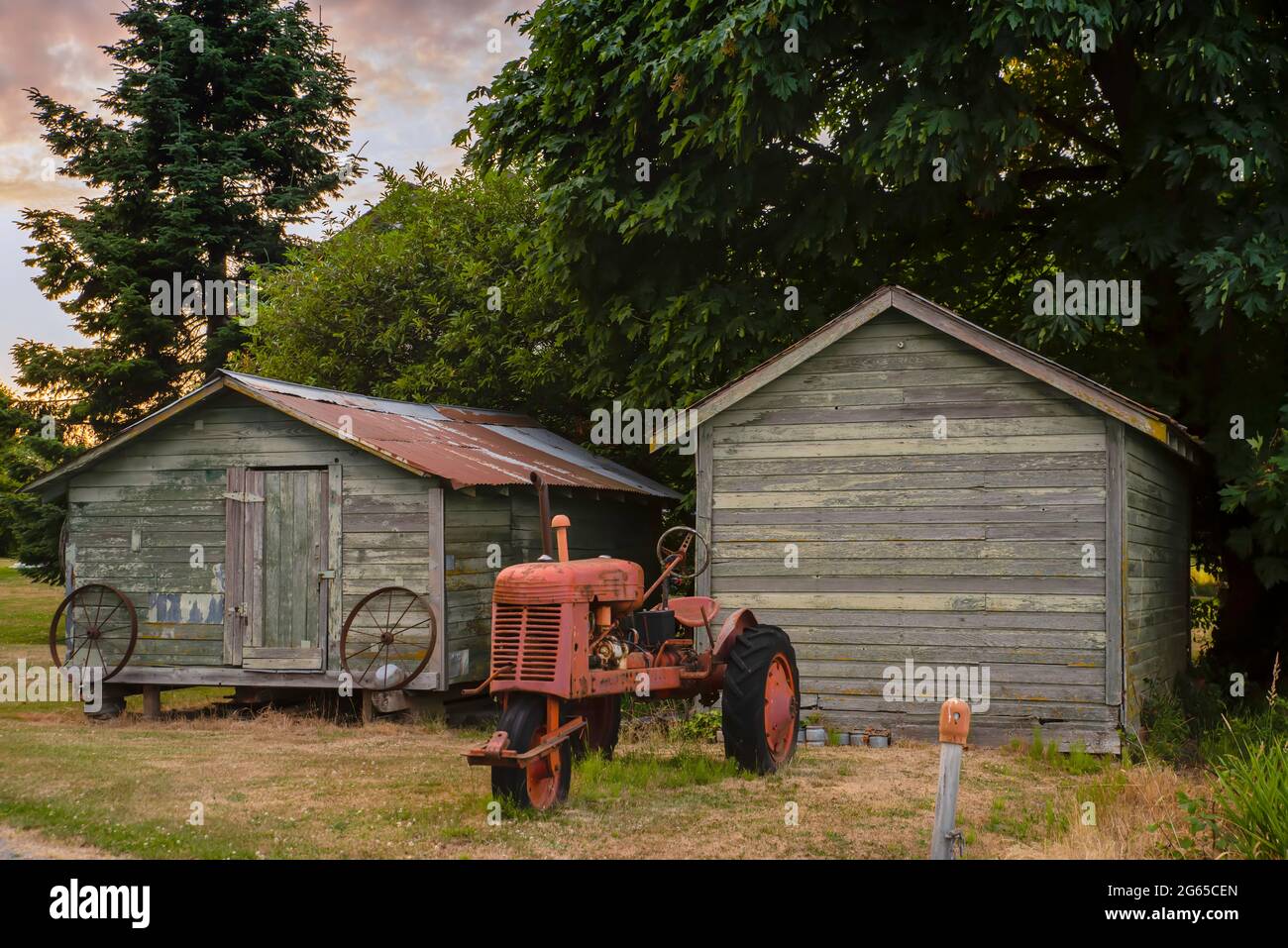 At sunset, an old red tractor stands on the grass near a wooden shed. Blue sky and pink clouds in the background. Stock Photo