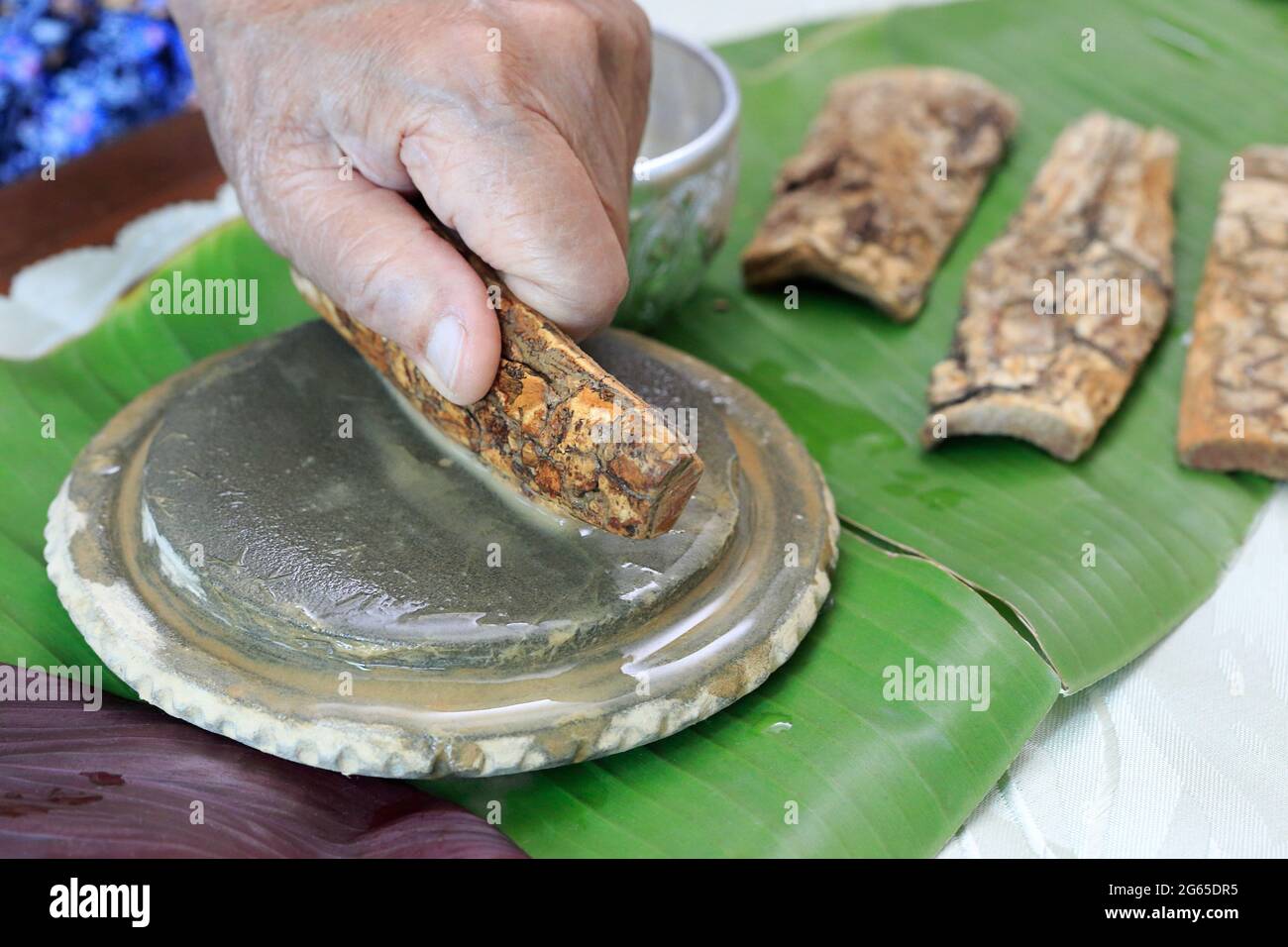 Thanaka herb bark scrubbing on kyauk pyin stone slab . thanaka is a popular cosmetic paste made from ground bark in Myanmar Stock Photo