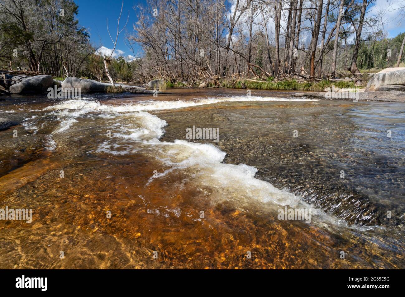 Cascades running after recent rains, Mann River Nature Reserve, Old