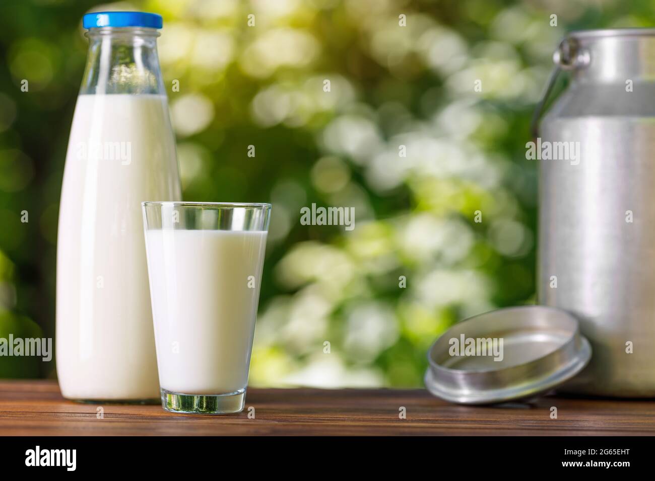 milk in glass and bottle with metal can Stock Photo