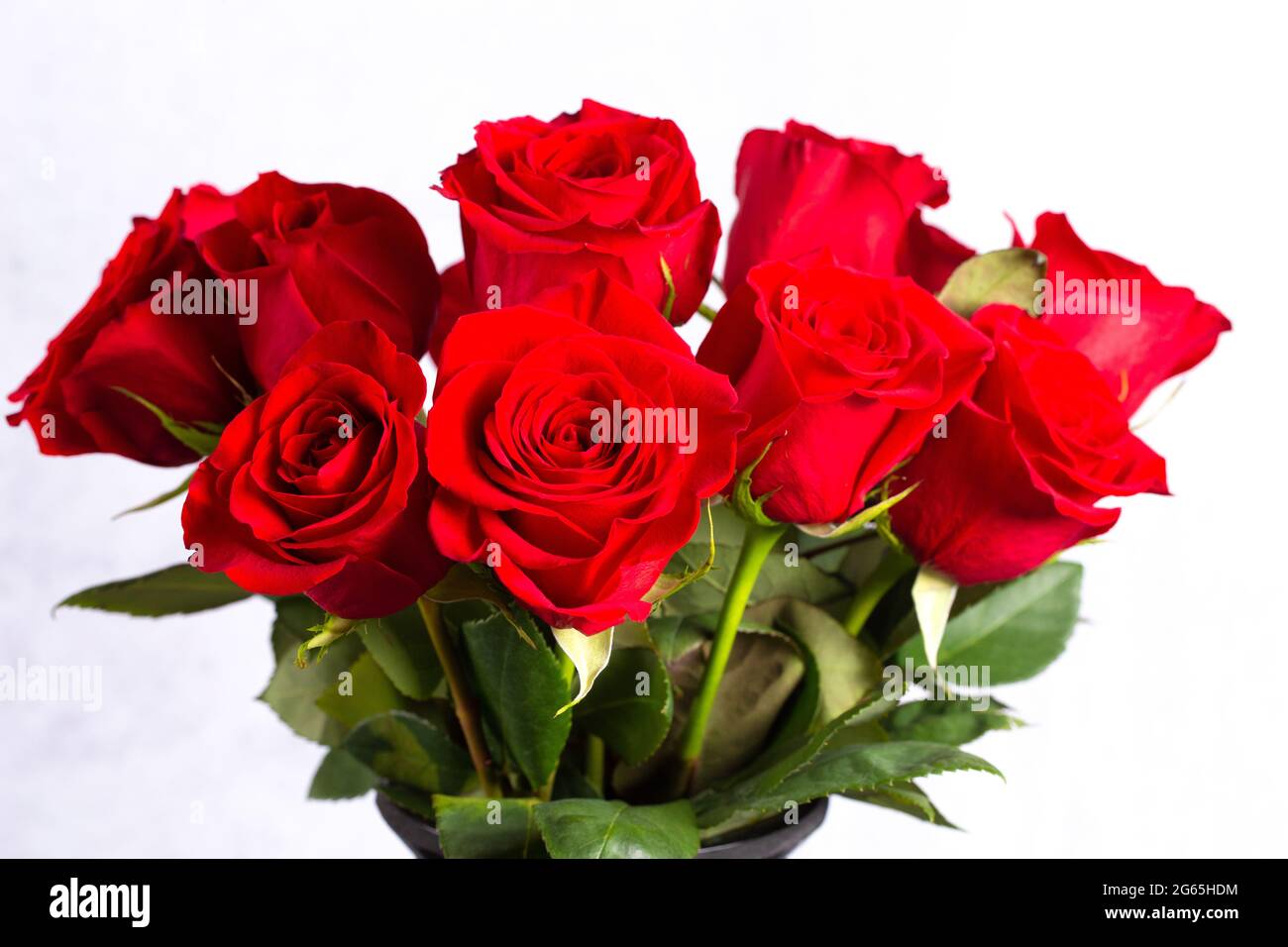 Close up view red roses hi-res stock photography and images - Alamy