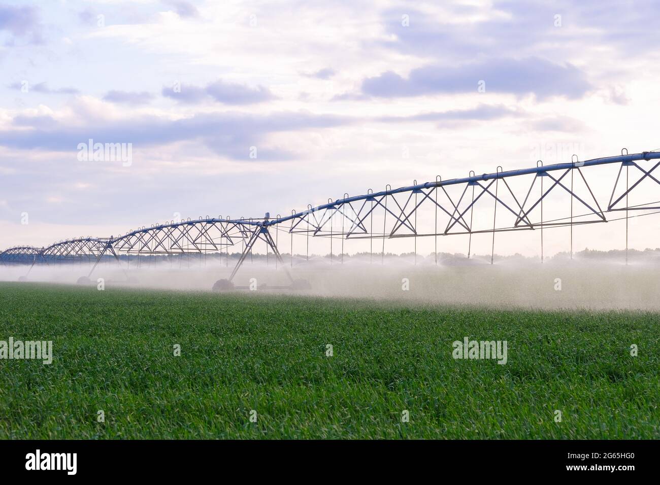 WHAT IS AN AUTOMATED IRRIGATION SYSTEM AND HOW DOES IT WORK visual data 8