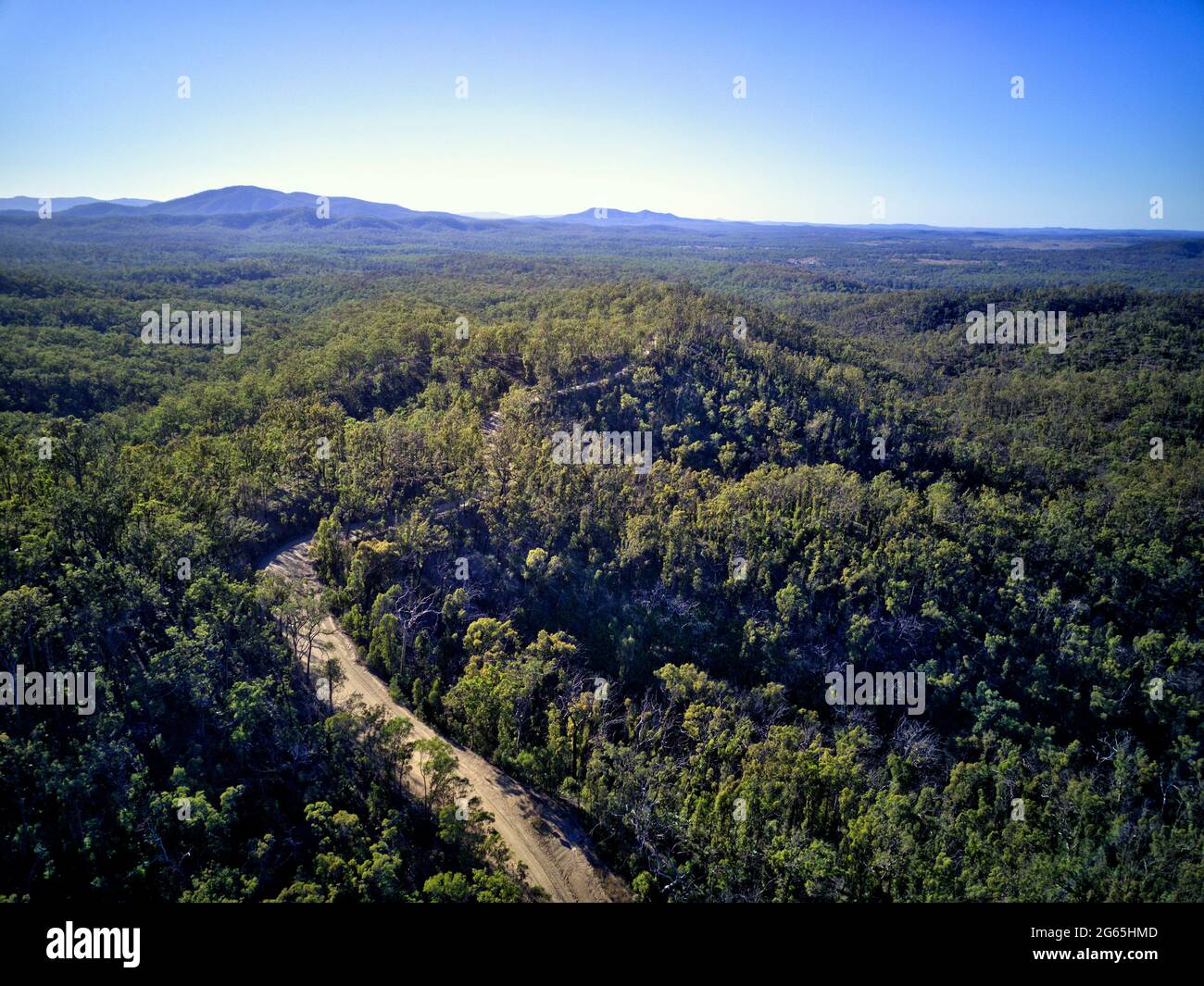 Aerial of the forested headwaters of the Kolan River in the Molangul locality Queensland Australia Stock Photo