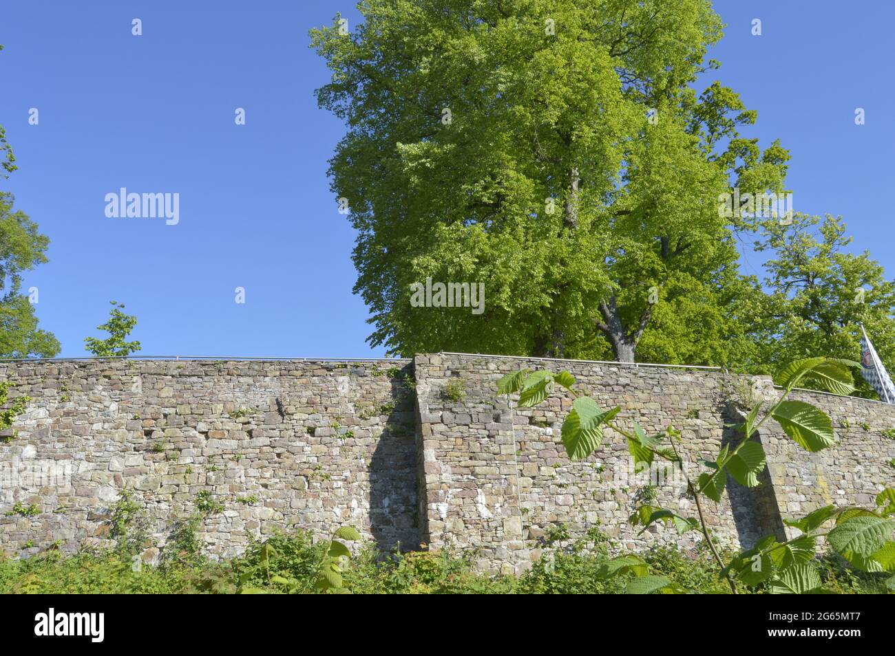 Medieval castle ruin in Vlotho, Germany Stock Photo
