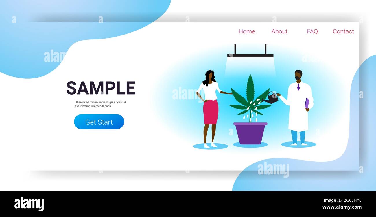 doctor watering cannabis plant offering medical marijuana to african american woman patient legal drug consumption medicine concept horizontal full Stock Vector