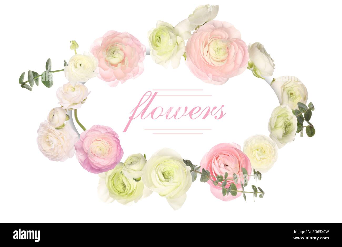 Mockup of greeting card with beautiful ranunculus flowers Stock Photo