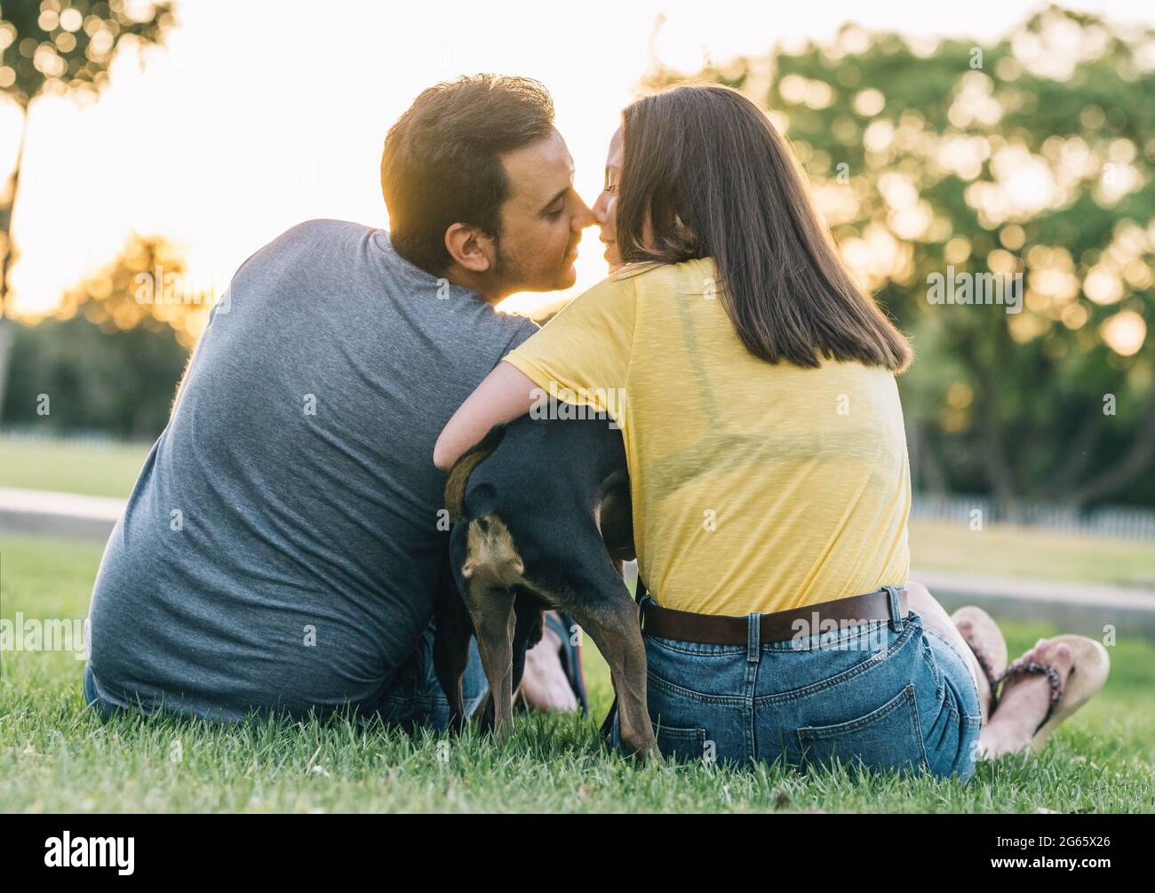 Do Dogs Like To Be Hugged And Kissed