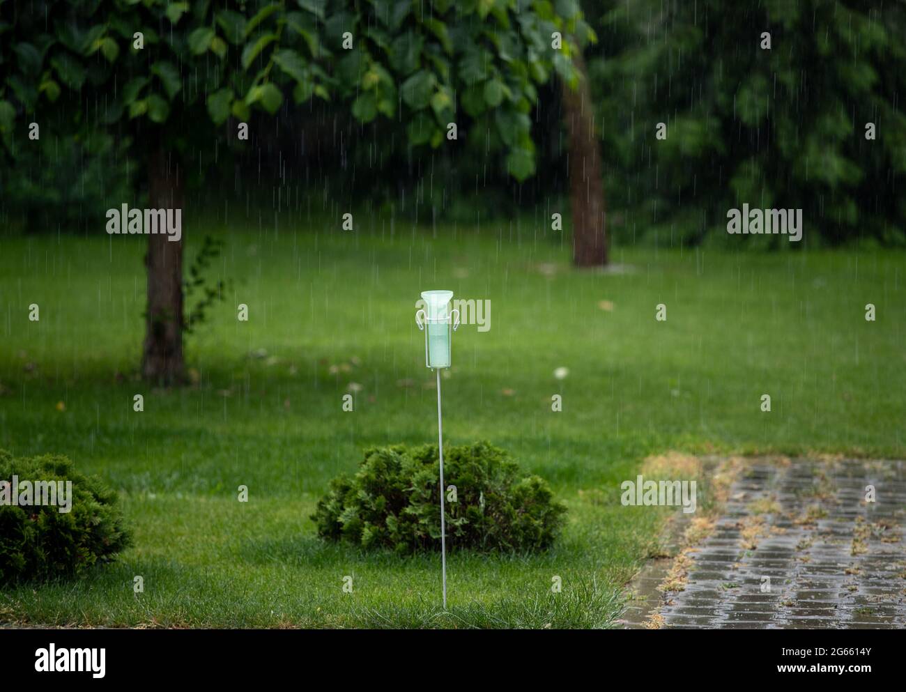 Close up of plastic rain gauge on rainstorm in garden in summertime