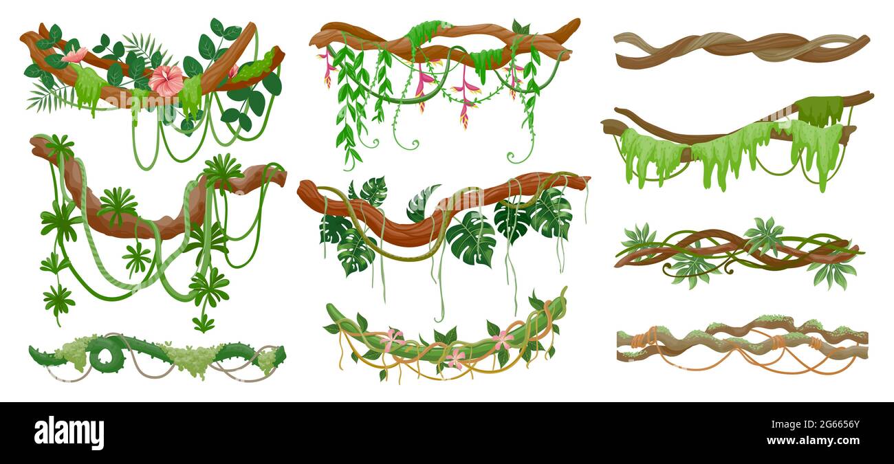 Jungle lianas. Rainforest green vine hanging on branch. Cartoon tropical leaves, liana, moss and flowers on tree. Creeper plants vector set Stock Vector